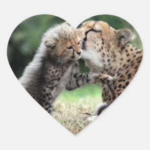 Cheetah Hart Sticker