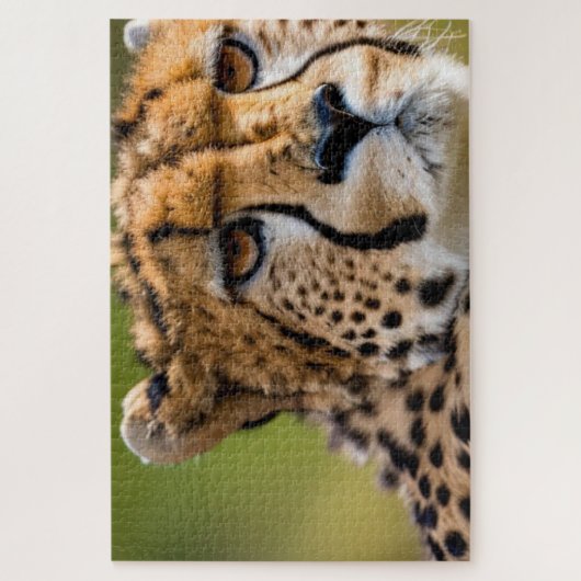 Cheetah Headshot Legpuzzel (Verticaal)