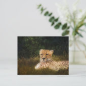 Cheetah herstellen in het centrum voor wilde diere briefkaart (Staand voorkant)