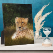 Cheetah herstellen in het centrum voor wilde diere fotoplaat (Zijkant)