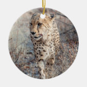 Cheetah Hunting Keramisch Ornament (Voorkant)
