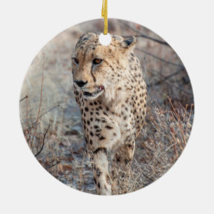Cheetah Hunting Keramisch Ornament