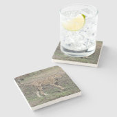 Cheetah in beweging. stenen onderzetter (Zijkant)