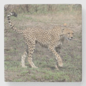 Cheetah in beweging. stenen onderzetter (Voorkant)