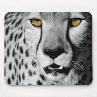 Cheetah in black and white muismat