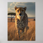 Cheetah in de gouden savanne poster (Voorkant)