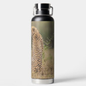 Cheetah in een natuurlijk Afrikaanse omgeving pers Waterfles (Achterkant)