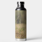 Cheetah in een natuurlijk Afrikaanse omgeving pers Waterfles (Rechts)