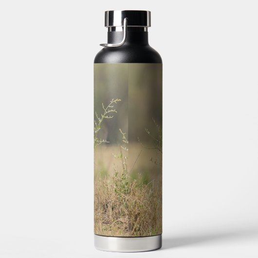 Cheetah in een natuurlijk Afrikaanse omgeving pers Waterfles (Rechts)