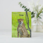 Cheetah in Kenia Briefkaart (Staand voorkant)