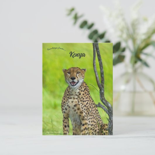 Cheetah in Kenia Briefkaart (Staand voorkant)