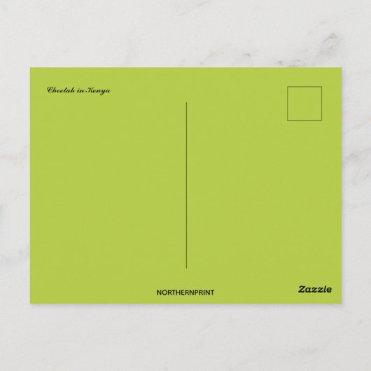 Cheetah in Kenia Briefkaart (Achterkant)