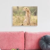 Cheetah in Natuurlijke Plaatsing Verpakt Canvas Afdruk (Insitu (Woonkamer))