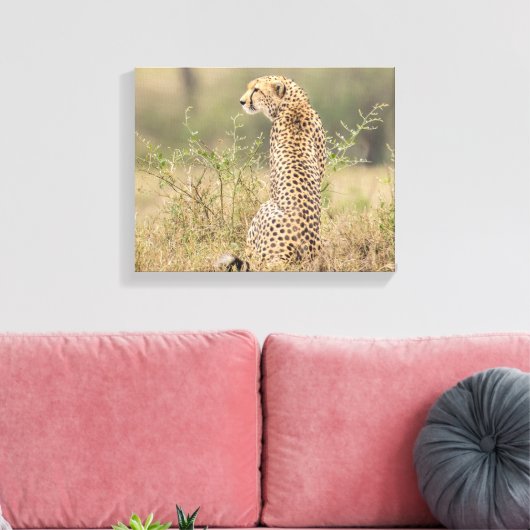 Cheetah in Natuurlijke Plaatsing Verpakt Canvas Afdruk (Insitu (Woonkamer))