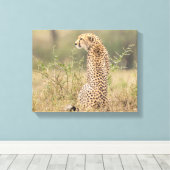 Cheetah in Natuurlijke Plaatsing Verpakt Canvas Afdruk (Insitu (Houten vloer))