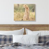 Cheetah in Natuurlijke Plaatsing Verpakt Canvas Afdruk (Insitu (Slaapkamer))