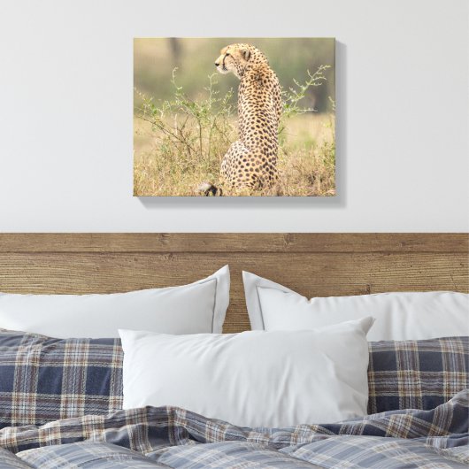 Cheetah in Natuurlijke Plaatsing Verpakt Canvas Afdruk (Insitu (Slaapkamer))