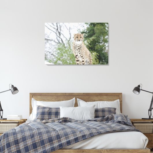 Cheetah in sneeuw canvas afdruk (Insitu (Slaapkamer))