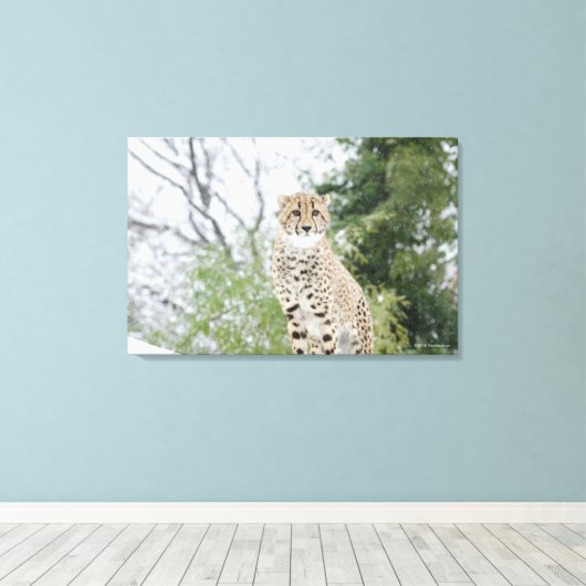 Cheetah in sneeuw canvas afdruk (Insitu (Houten vloer))