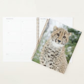 Cheetah in sneeuw planner (Display)