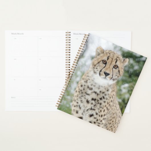 Cheetah in sneeuw planner (Display)