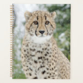 Cheetah in sneeuw planner (Voorkant)