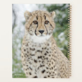 Cheetah in sneeuw planner (Achterkant)