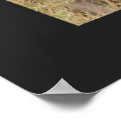 Cheetah in stille denkwijze Personaliseert tekst Poster (Hoek)