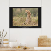 Cheetah in stille denkwijze Personaliseert tekst Poster (Keuken)