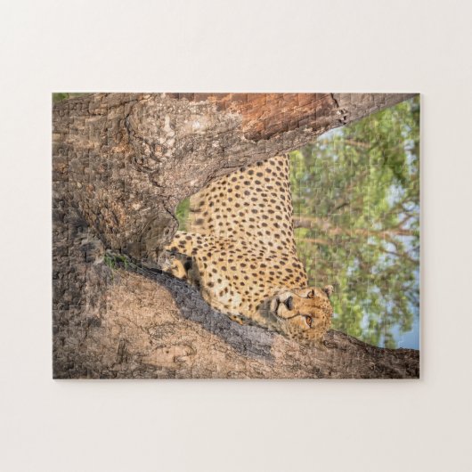 Cheetah in Tree Puzzle Legpuzzel (Horizontaal)