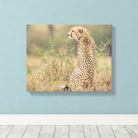 Cheetah in Wild Setting Wrapped Canvas Print (Insitu (Houten vloer))
