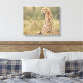 Cheetah in Wild Setting Wrapped Canvas Print (Insitu (Slaapkamer))
