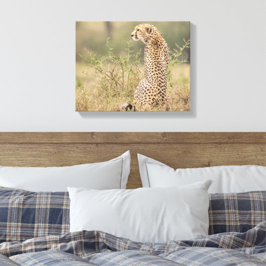 Cheetah in Wild Setting Wrapped Canvas Print (Insitu (Slaapkamer))