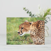 Cheetah Invitation Card Kaart (Staand voorkant)