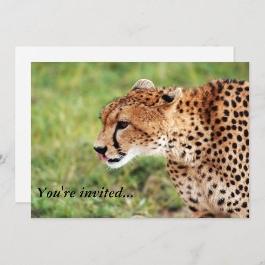 Cheetah Invitation Card Kaart (Voorkant / Achterkant)
