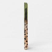 Cheetah iPhone 11 Hoesje (Achterkant/links)