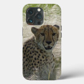 Cheetah iPhone/iPad case (Achterkant)