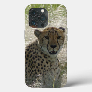 Cheetah iPhone/iPad case