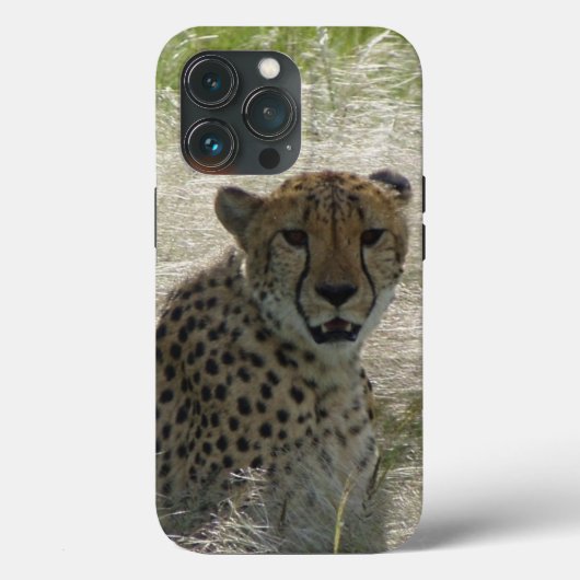 Cheetah iPhone/iPad case (Achterkant)