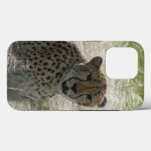 Cheetah iPhone/iPad case (Achterkant (horizontaal))