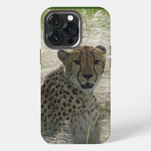 Cheetah iPhone/iPad case iPhone Hoesje (Achterkant)