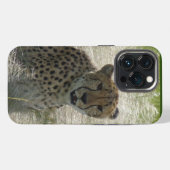 Cheetah iPhone/iPad case iPhone Hoesje (Achterkant horizontaal)