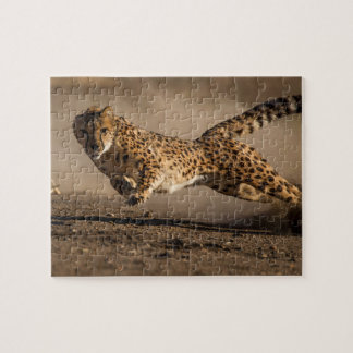 Cheetah Jigzaag Puzzle Legpuzzel