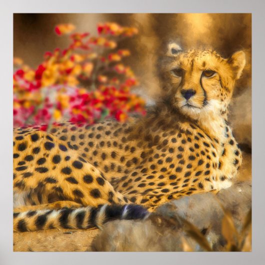 CHEETAH JUST CHILLIN POSTER (Voorkant)