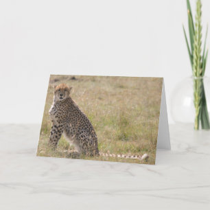Cheetah Kaart