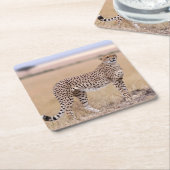 Cheetah Kartonnen Onderzetters (Schuin)