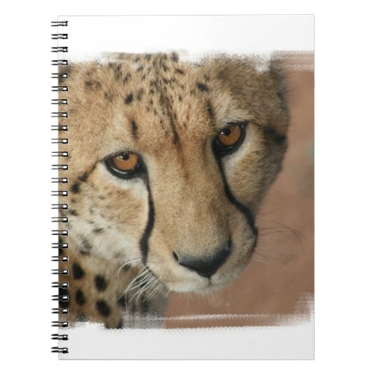 Cheetah Kat Notitieboekje Notitieboek (Voorkant)