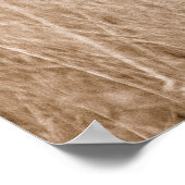 Cheetah Kenya Afrika Poster (Hoek)