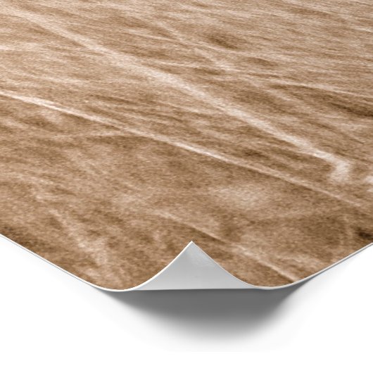 Cheetah Kenya Afrika Poster (Hoek)