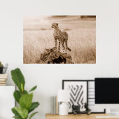 Cheetah Kenya Afrika Poster (Thuiskantoor)
